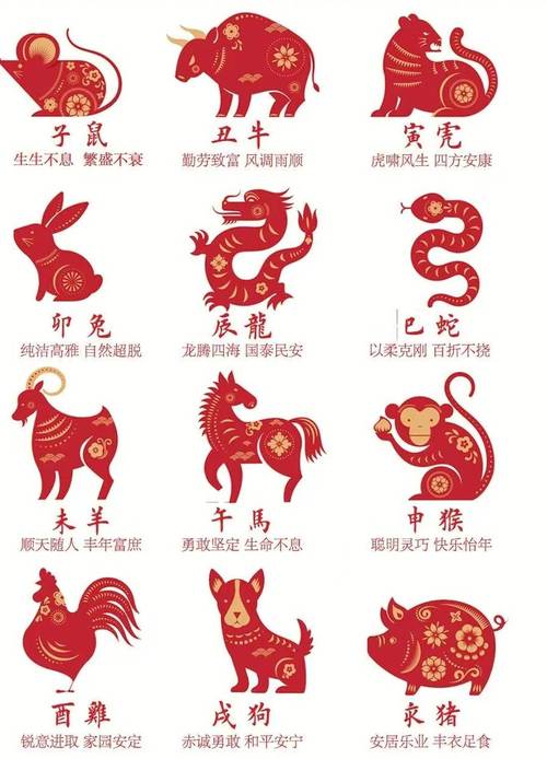 地球是圆的打一生肖-地球是圆的是什么生肖