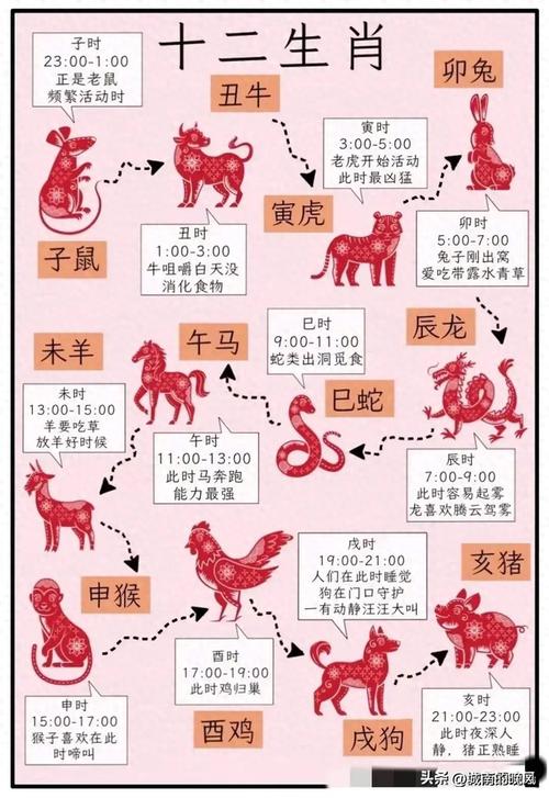 今期生肖有技术的是什么动物的简单介绍
