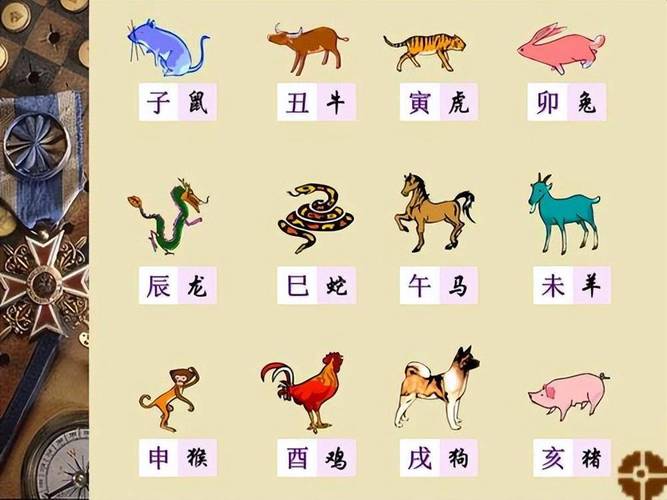 水肖是什么生肖-水肖是什么生肖有哪些生肖