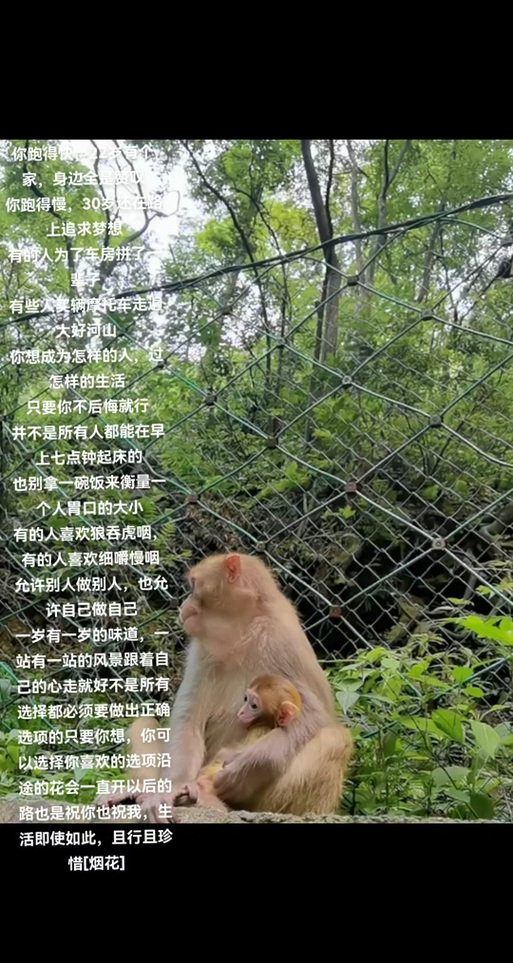 螃蟹夹鸳鸯脚要脱不得脱打一生肖-螃蟹夹到鸳鸯脚要脱不得脱猜一生肖
