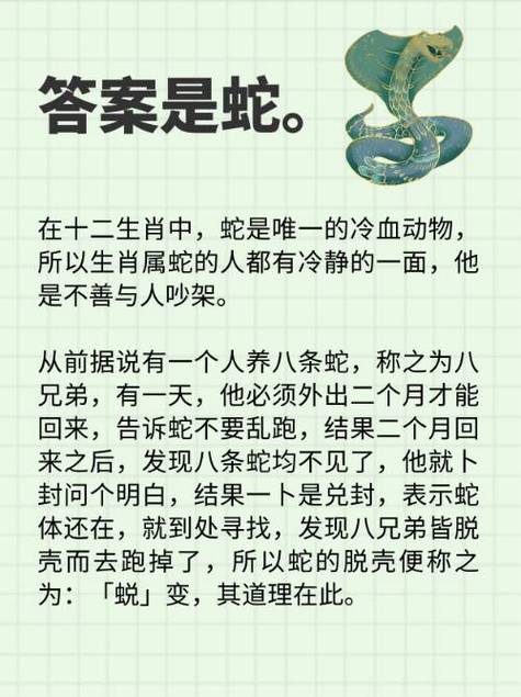 “最坏的动物”代表什么生肖的简单介绍