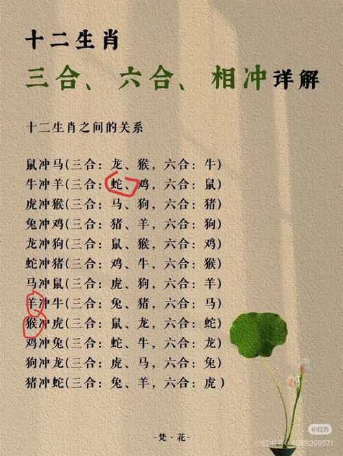 今期生肖有看头解一精准生肖-今期生肖有看头,买上买下不是牛是什么生肖