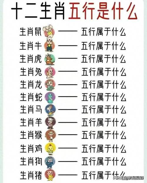 打一生肖最佳配对-什么生肖与什么生肖相配
