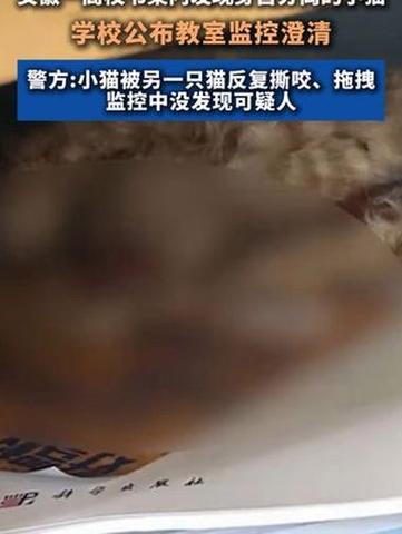 关于身首分离打一生肖动物的信息