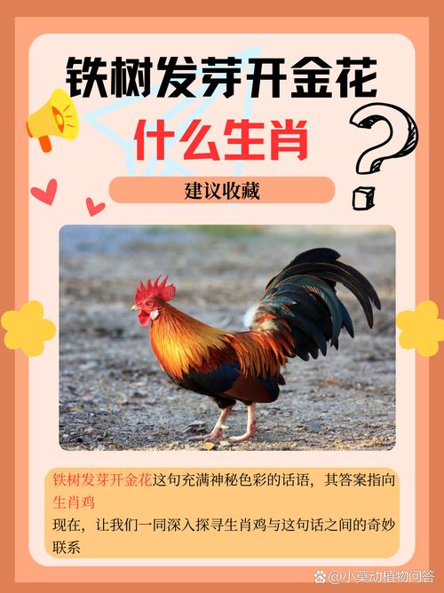 春回土壤红花开是什么生肖-春回大地是什么生肖查明原因