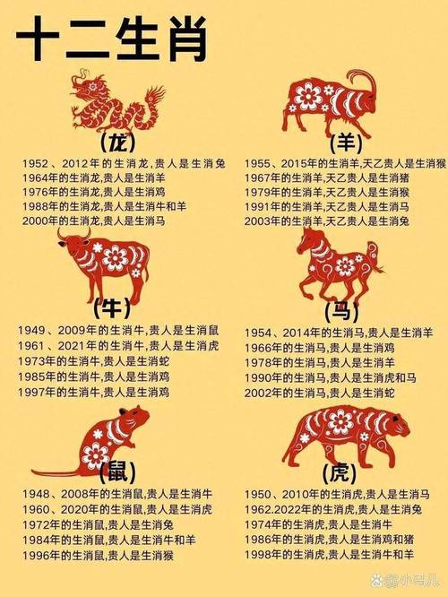 门庭代表什么生肖-门庭代表什么生肖动物