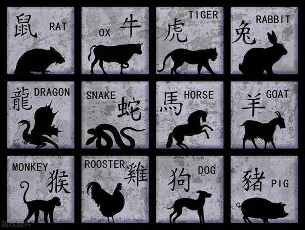 今期生肖看一数是什么意思-今期生肖最简单代表什么数字