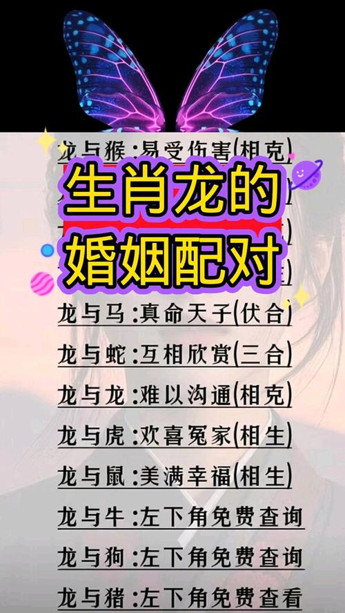什么生肖命最好相配婚姻好-什么生肖配什么生肖的婚姻最合适
