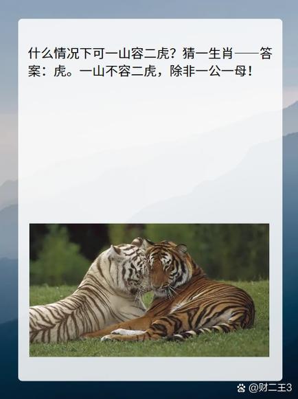 榐打一生肖-打一生肖最佳答案是什么