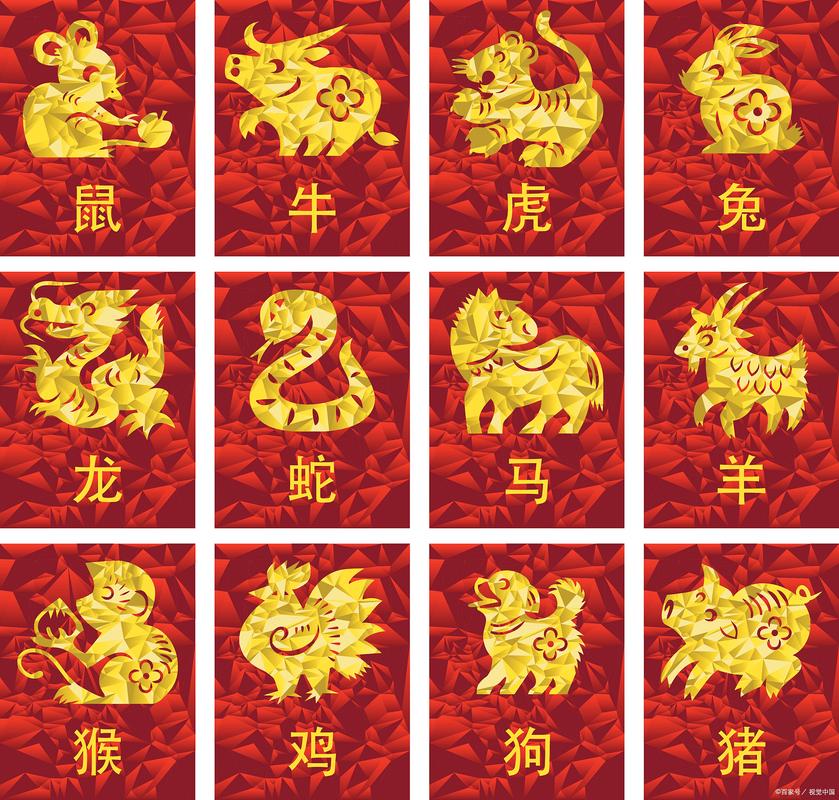 今期鼠会出了错猜生肖-鼠今天的生肖彩票是多少