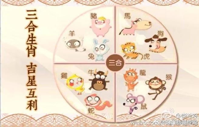 一九相合在今期猜生肖动物的简单介绍