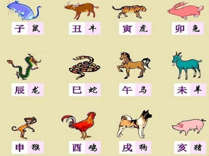 打一生肖动物金花-十二生肖里金花是什么动物
