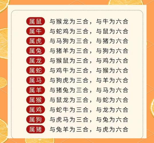 一言九鼎开过什么生肖-一言九鼎开过什么生肖动物