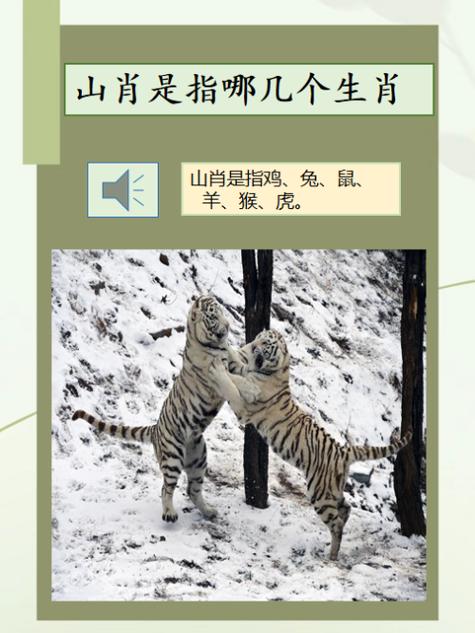 今期生肖找西北动物是什么-今期生肖在西方,西天路上寻特肖打一生肖