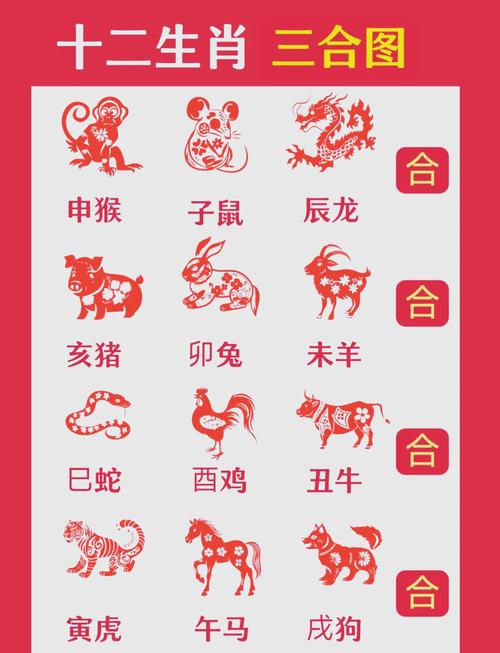 今期生肖看大门-今期生肖大门旺,三八红梅白花开打一正确生肖