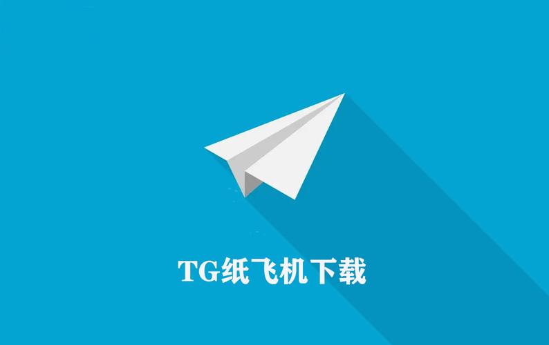 包含纸飞机app官网下载toting的词条
