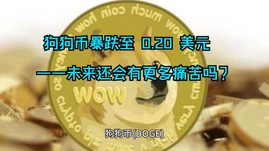 狗狗币美元价格-狗狗币美元价格实时行情