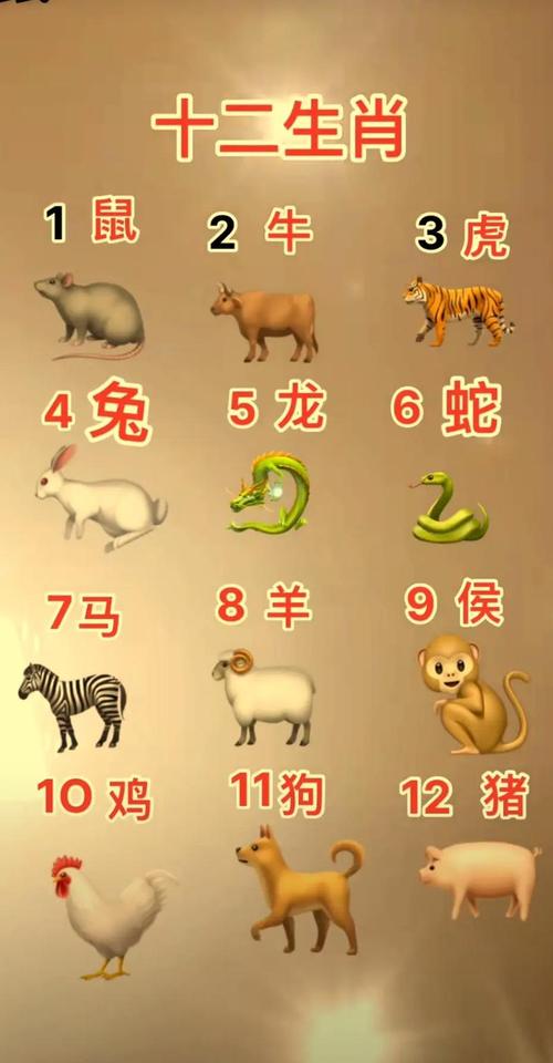 今期生肖七七开准确生肖-今期生肖七七开准确生肖是什么