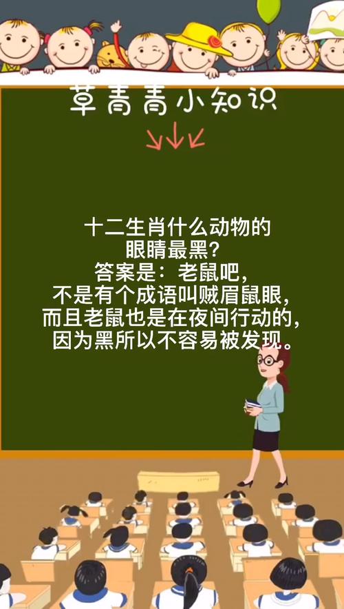 “眼睛”代表什么生肖-眼睛代表什么生肖和数字