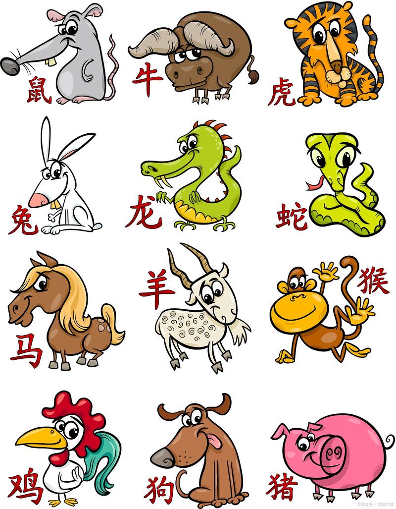 什么生肖最笨-什么生肖最笨重