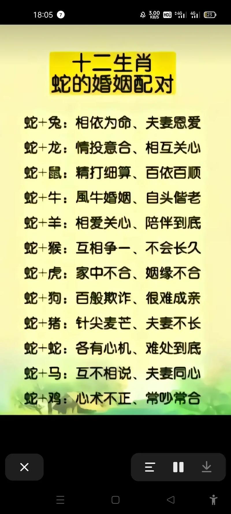 龙蛇今期最佳答案是什么-龙蛇相会在今期是什么生肖适合出门做生意