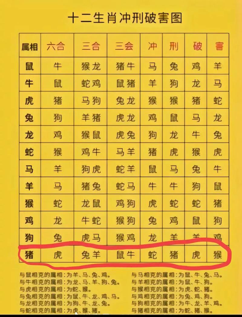 猪和蛇什么生肖最配对-猪和蛇什么生肖最配对呢