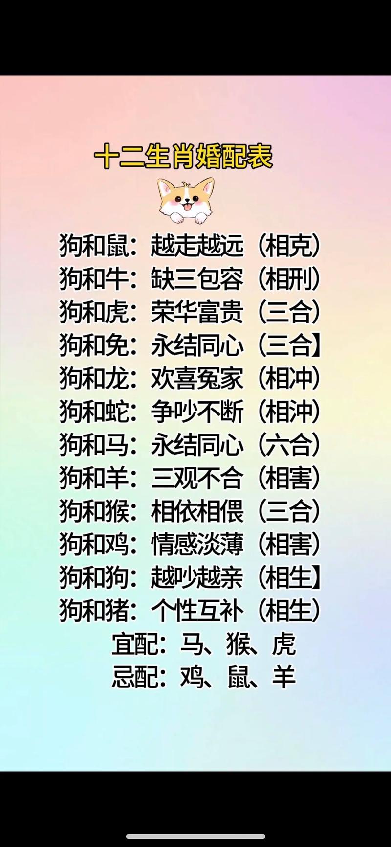 什么生肖关系最好-12生肖相处最融洽的