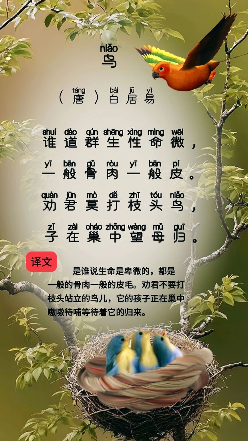 小鸟枝头叫打一生肖-小鸟在枝头叫照样子写句子
