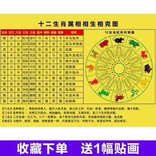 什么生肖相冲无猪-什么生肖跟什么生肖相冲相克
