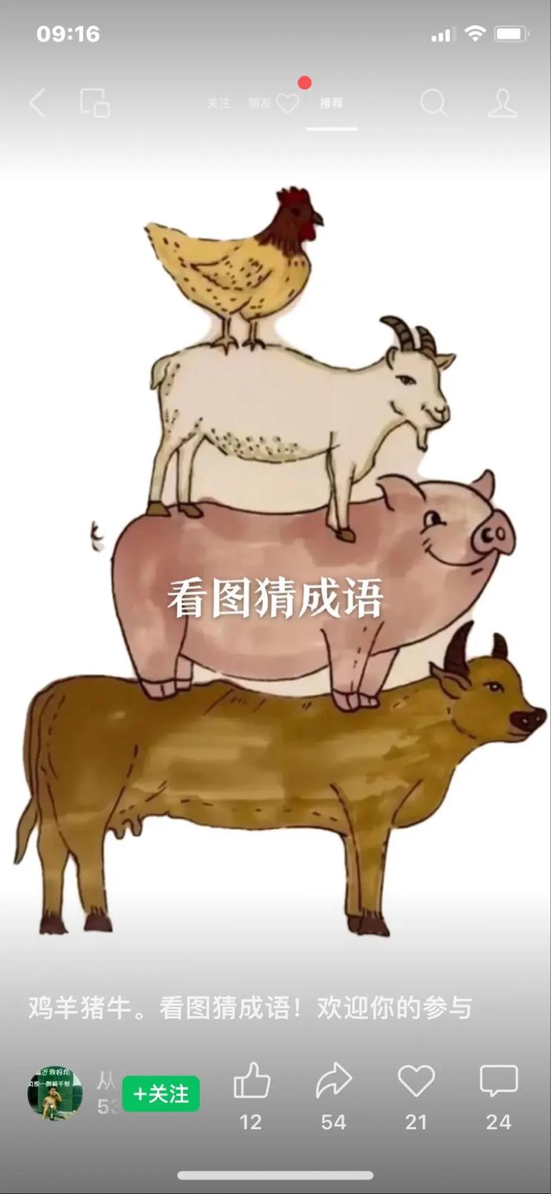 今期生肖羊牛鸡,猪狗两肖发众人的简单介绍