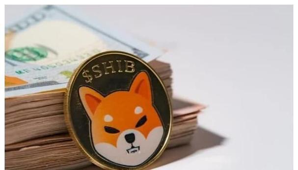 shib币100元赚1.6亿的简单介绍