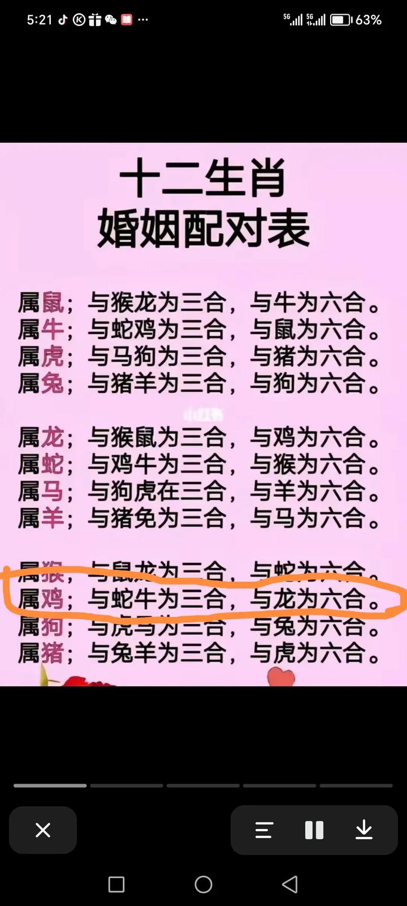 “众生所归欢欢喜”打一准确动物生肖的简单介绍