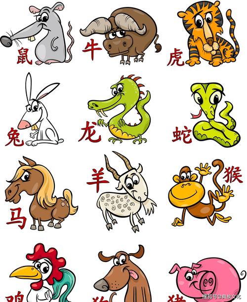最好是什么生肖-最好是什么生肖动物