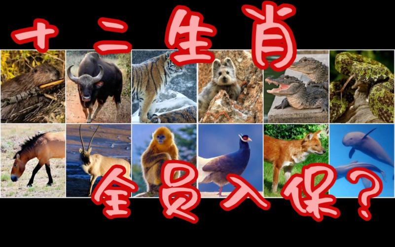关于“三可乡相连七贵,五字当头居天下”是什么生肖动物的信息