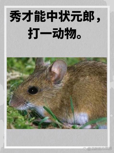 “头顶风云一身酸”打一准确生肖的简单介绍