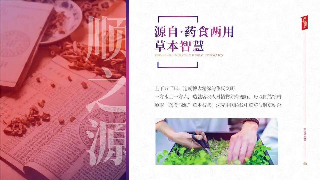 五叶神是特马猜一最佳动物-五叶神是特马猜一肖开过什么