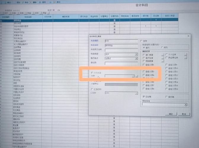 t+辅助项怎么设置-t+怎么设置辅助核算