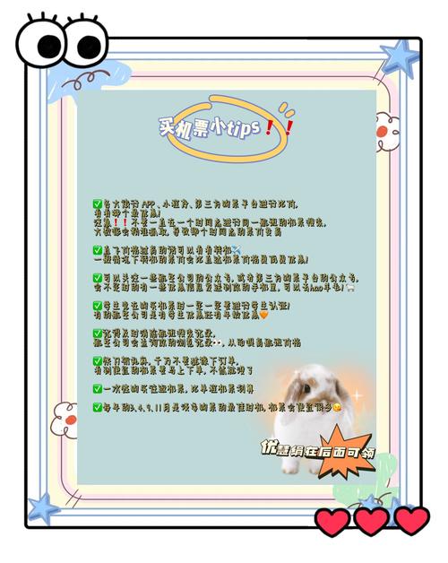 纸飞机官网app-纸飞机官网app注册流程
