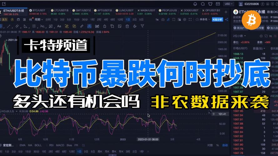 莱特币如何操盘-莱特币如何操盘赚钱