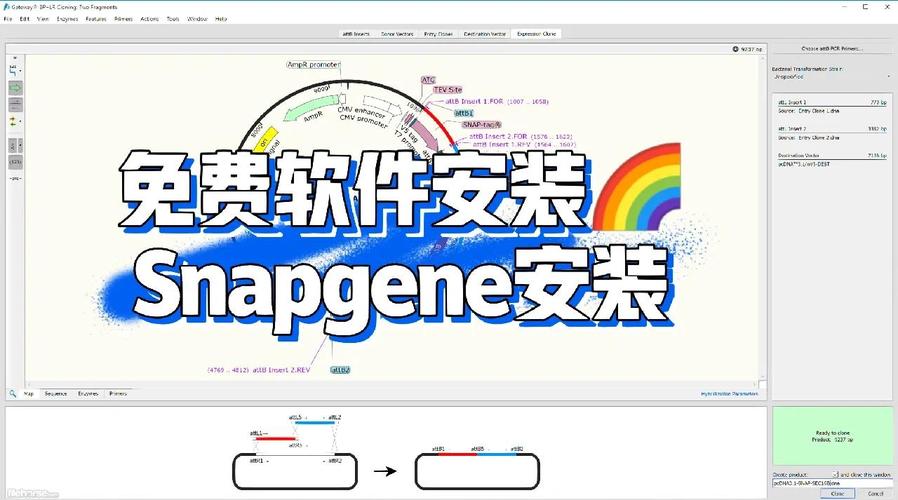snapchat软件安装中国版-snapchat2021安装最新版