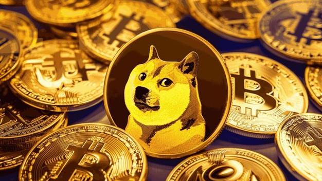 包含狗狗币为什么被严重低估的词条