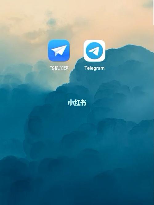 tele纸飞机下载-telegran纸飞机