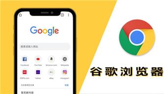 手机谷歌浏览器下载视频-手机google浏览器下载视频