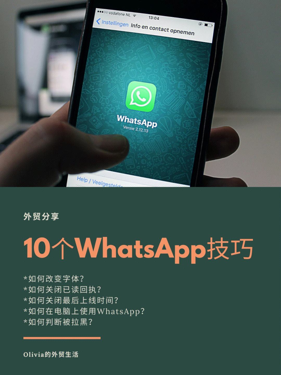 whatsapp最新版本下载安装-whatsapp最新版下载安卓版本