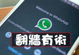 手机WhatsApp翻墙怎么弄的简单介绍