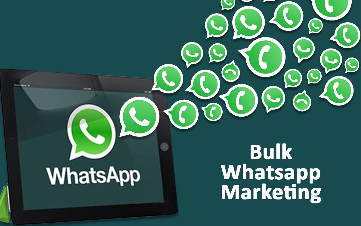 whatsapp官方app下载-whatsapp官网最新下载安卓