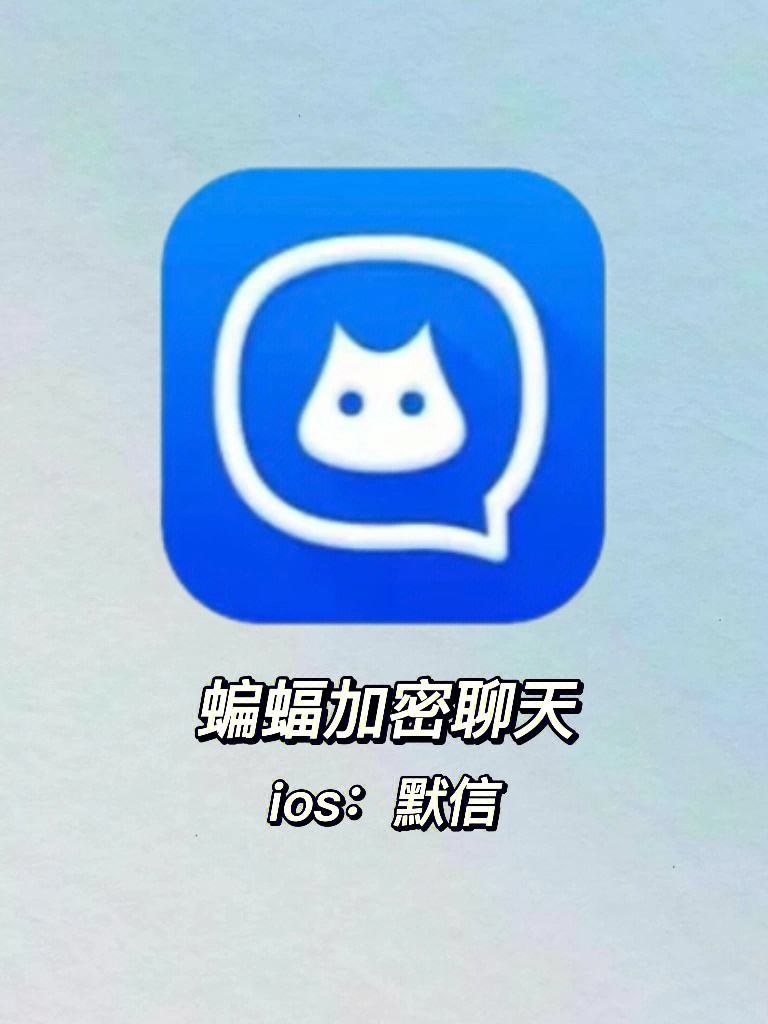 蝙蝠加密聊天app下载-蝙蝠加密聊天app下载安卓