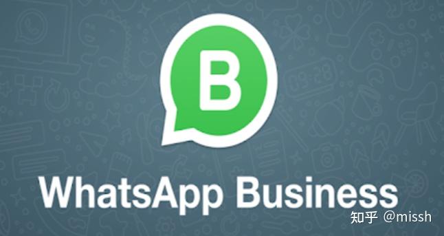whatsapp2020版下载安卓_whatsapp2021安卓下载最新版