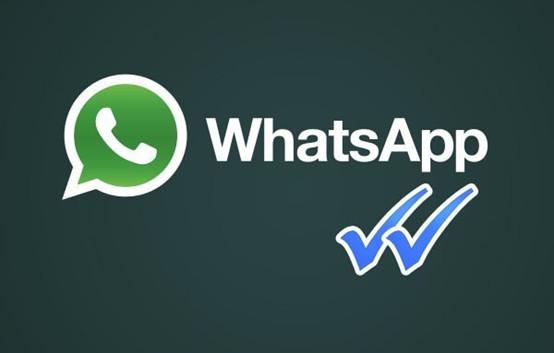 whatsapp国内不能用的原因_whatsapp在国内不能用怎么办