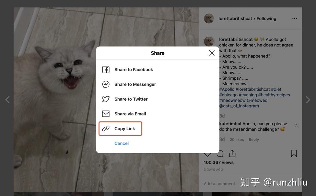 instagram下载安卓版_instagram下载安卓版官方正版